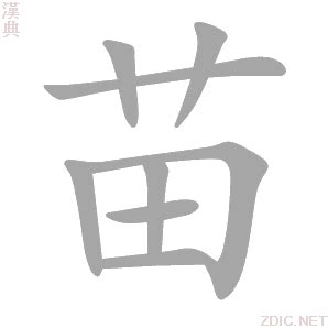 苗字意思|苗的解释